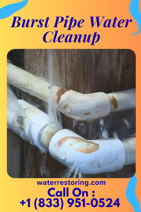 Burst Pipe Water Cleanup in Big Bass Lake, PA